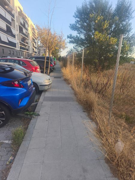 Obstrucción de vía pública