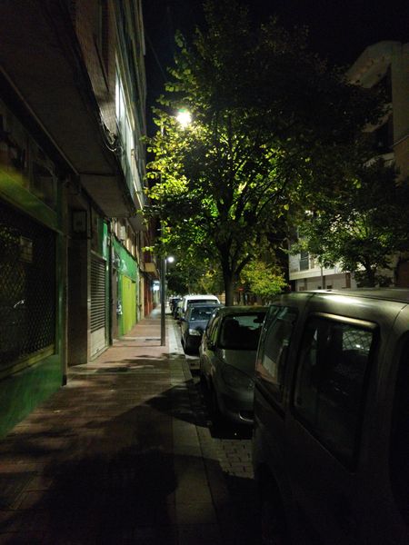 Vegetación crecida o descuidada